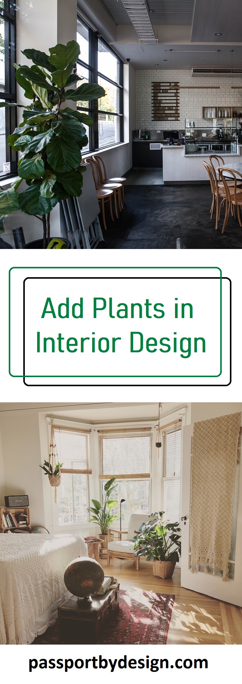 Plants: Interior Design Inspiration - Passport by Design