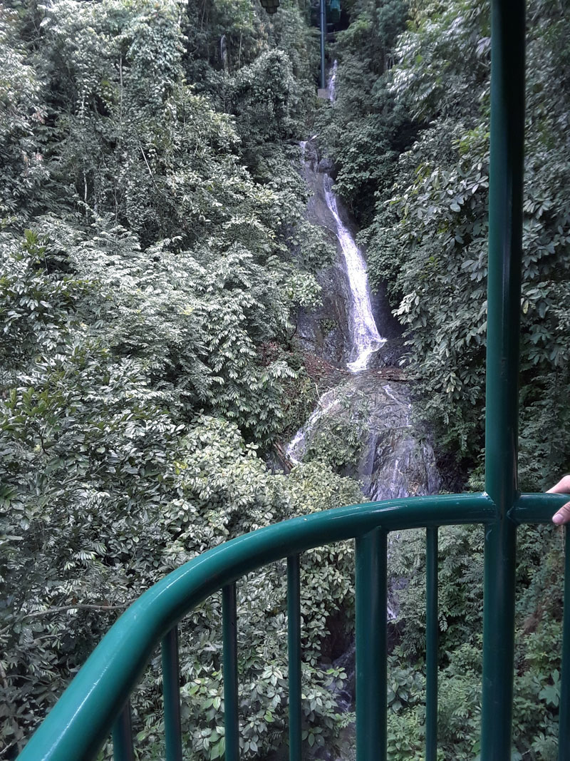 rainforest-adventure-park
