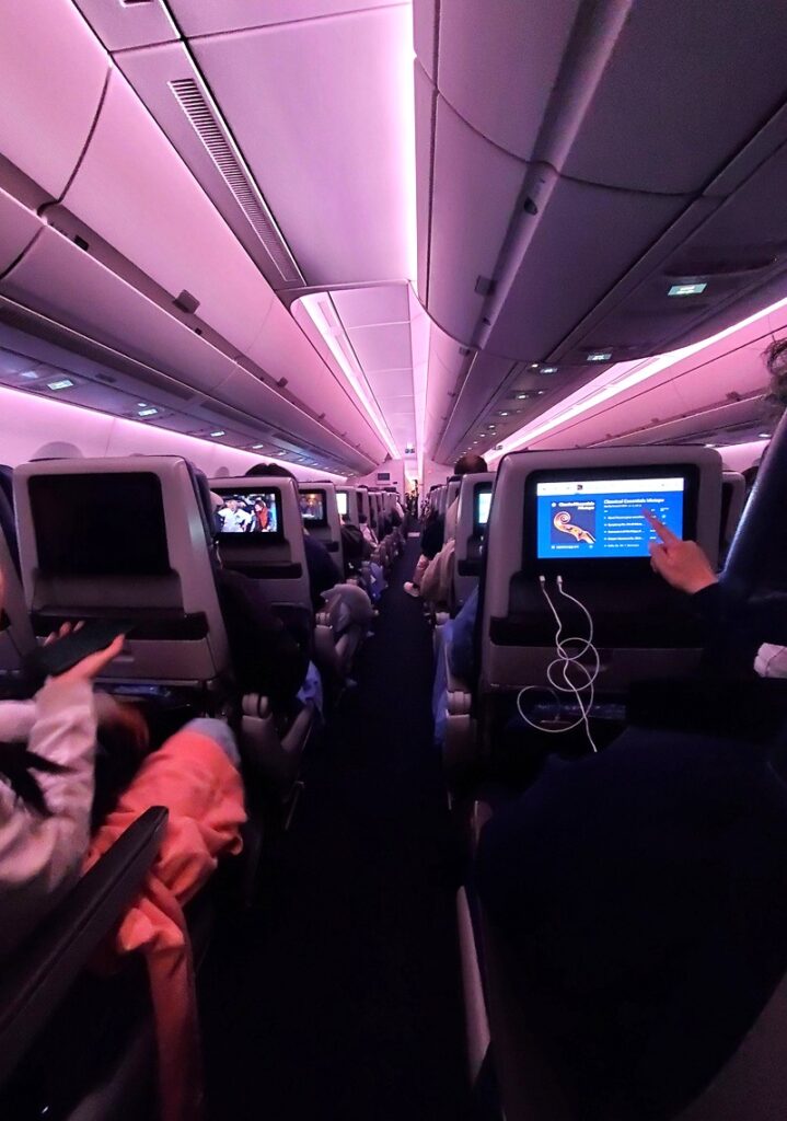 delta-airlines-economy-long-haul