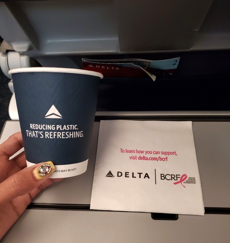 delta-airlines-economy-long-haul